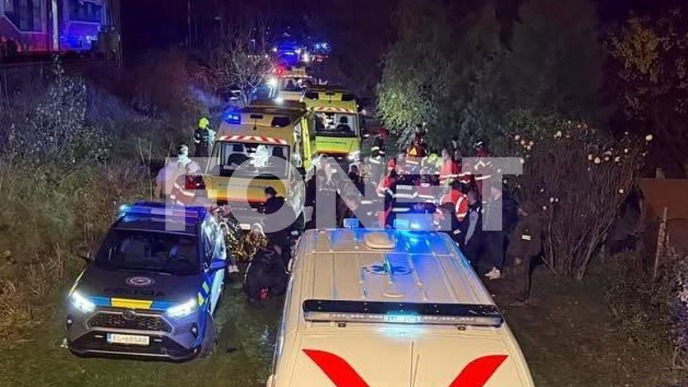 U sudaru vozova 79 povređenih